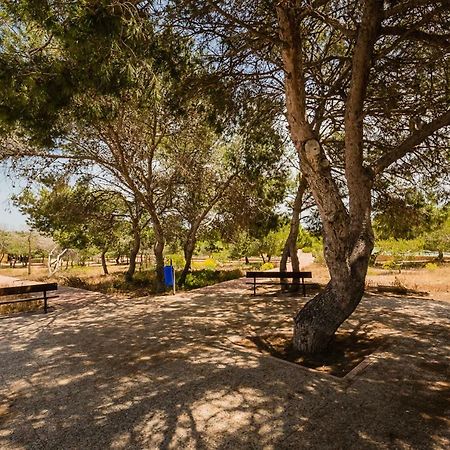 Apartament "Parque Mar" La Mata  Luaran gambar