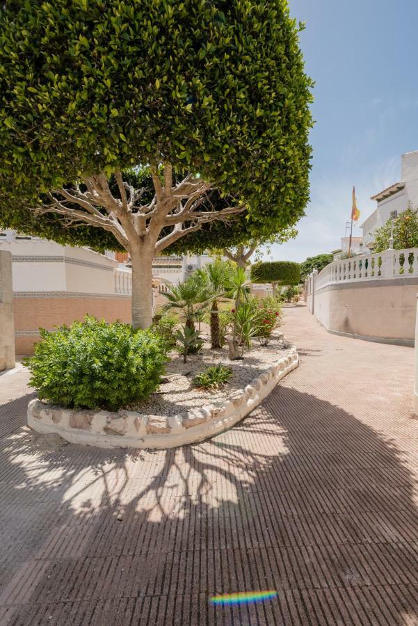 Apartament "Parque Mar" La Mata  Luaran gambar